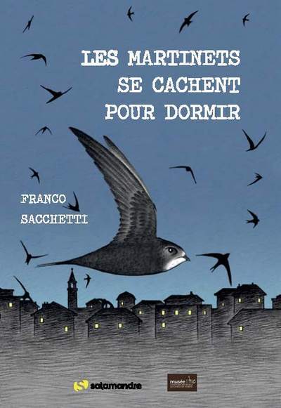 LES MARTINETS SE CACHENT POUR DORMIR