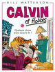 CALVIN ET HOBBES TOME 12 QUELQUE CHOSE BAVE SOUS LE LIT - VOL12