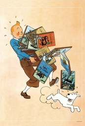 Poster Hergé sous boîte carton - Tintin et ses albums (40x60)