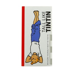 Toise Tintin yoga en Anglais