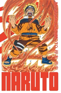 Naruto - Edition hokage - T13