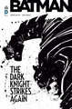 DC ESSENTIELS - BATMAN : DARK KNIGHT STRIKES AGAIN - TOME 0