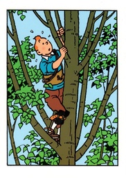 CP Hergé Case Les Aventures de Tintin T21 - Les bijoux de la Castafiore -Dans l'arbre