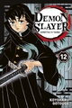 Demon Slayer - T12