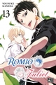 ROMIO VS JULIET T13