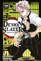 Demon Slayer - T17