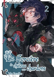 LA SORCIERE DU CHATEAU AUX CHARDONS - TOME 2